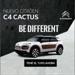 c4cactus