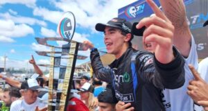 Damiani Campeon TN x