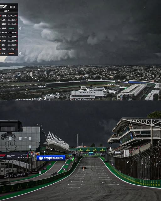 brasil f tormentea brasil f tormentea